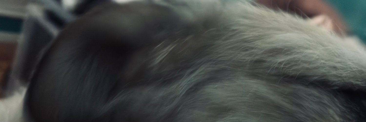 fuckeando's profile banner image