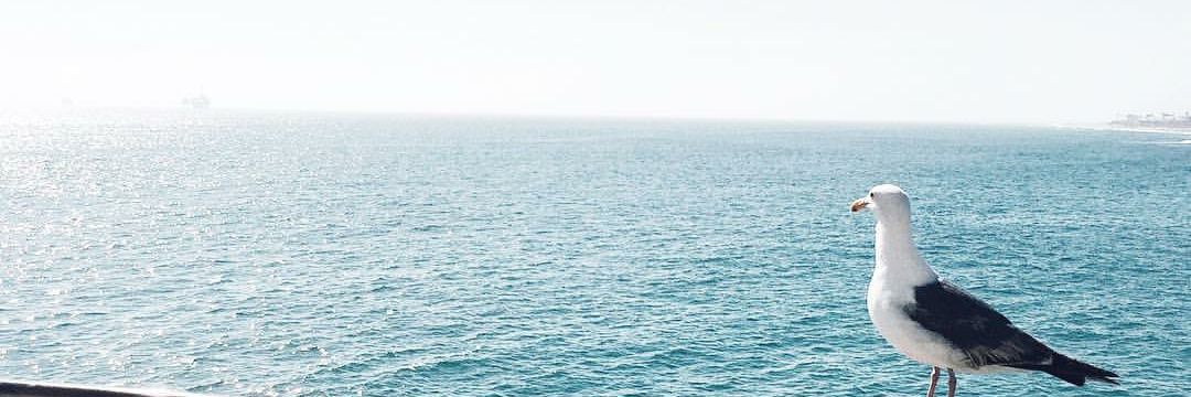 aDrama_'s profile banner image