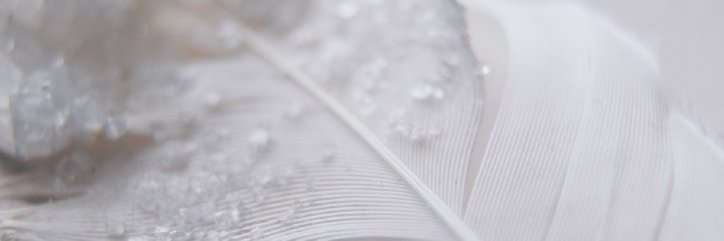 khriss84's profile banner image