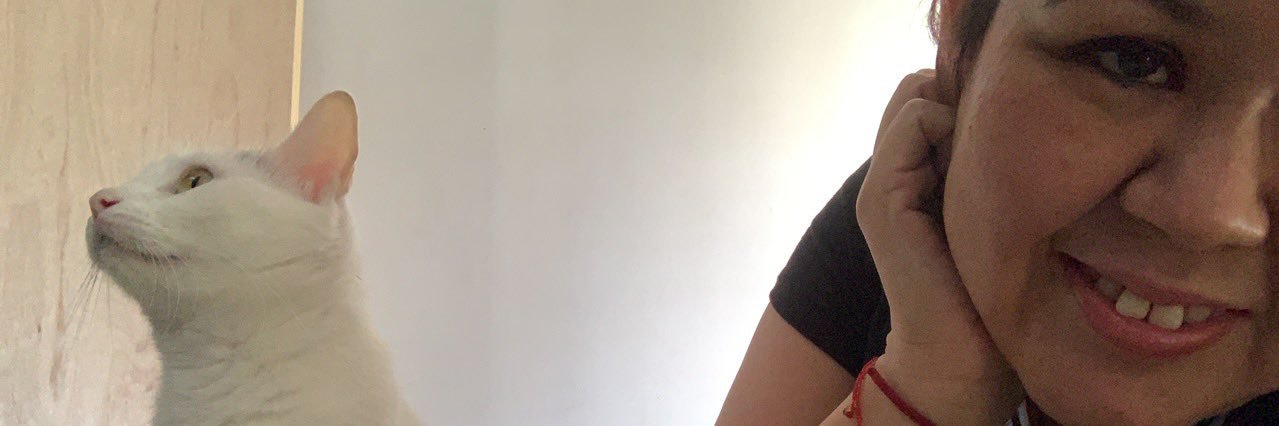 elyvega's profile banner image