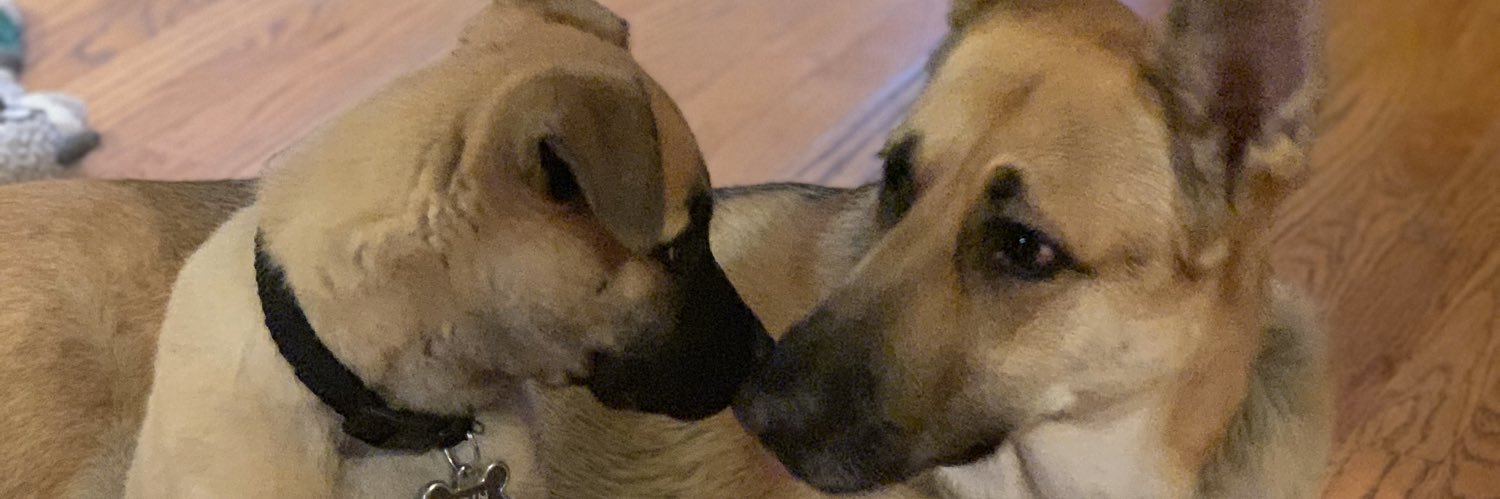 Ally_son12's profile banner image