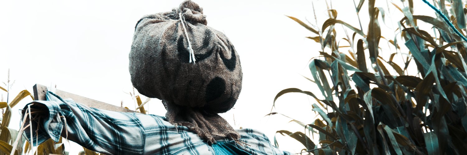 corkey119's profile banner image