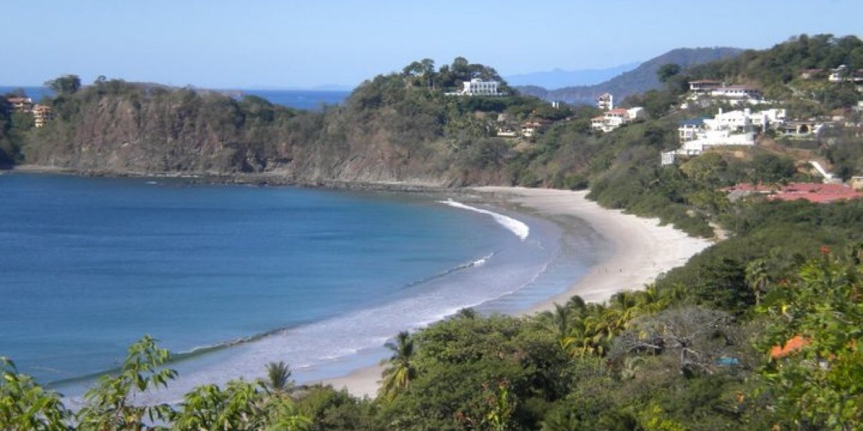 Andrea Freeman banner