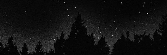 Scott banner
