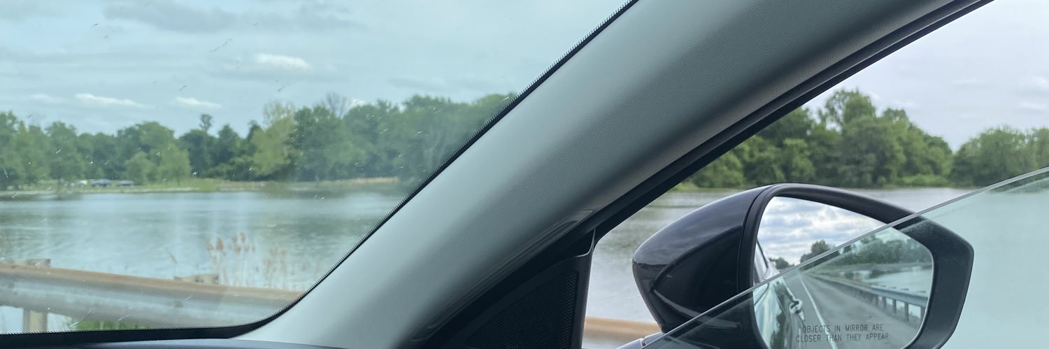 susanlyynch's profile banner image