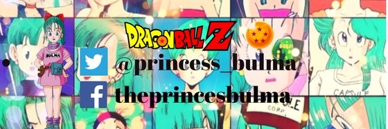 PRINCCES_bulma's profile banner image