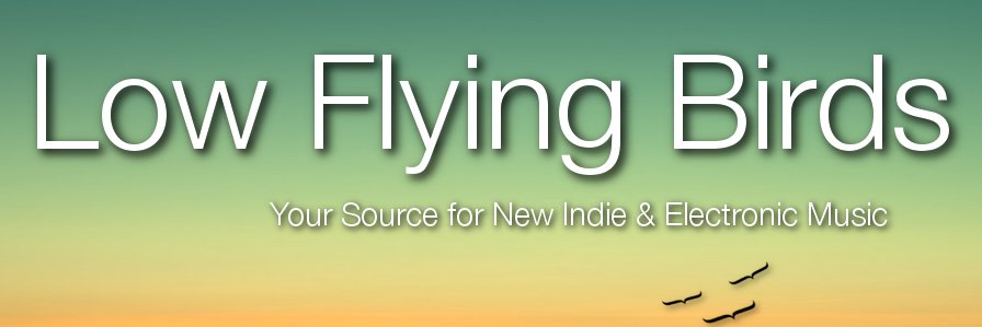 LowFlyingBirds_'s profile banner image