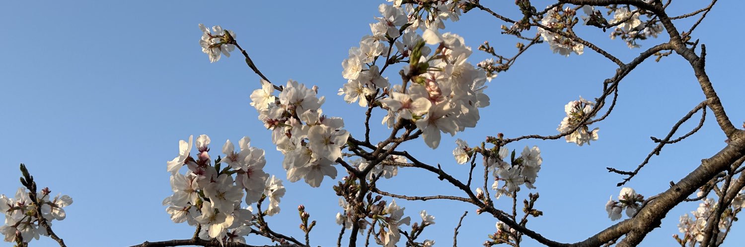 🎃机さん🎃 banner