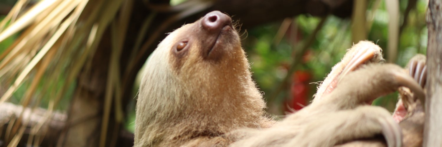 L0Reee's profile banner image