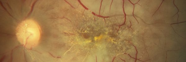 davidalmeidaMD Profile Banner