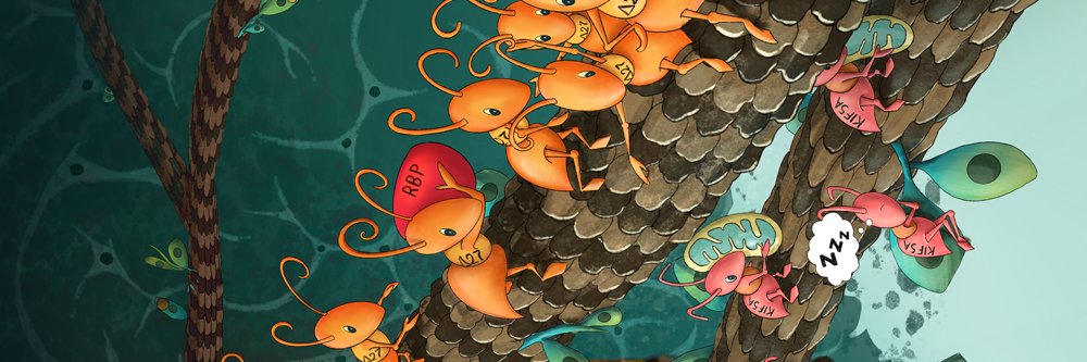 Devesh C Pant banner