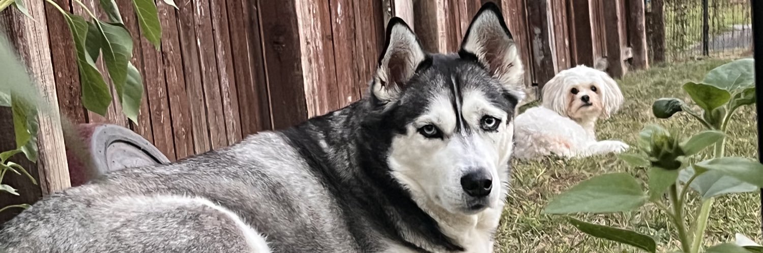 aublstephens's profile banner image
