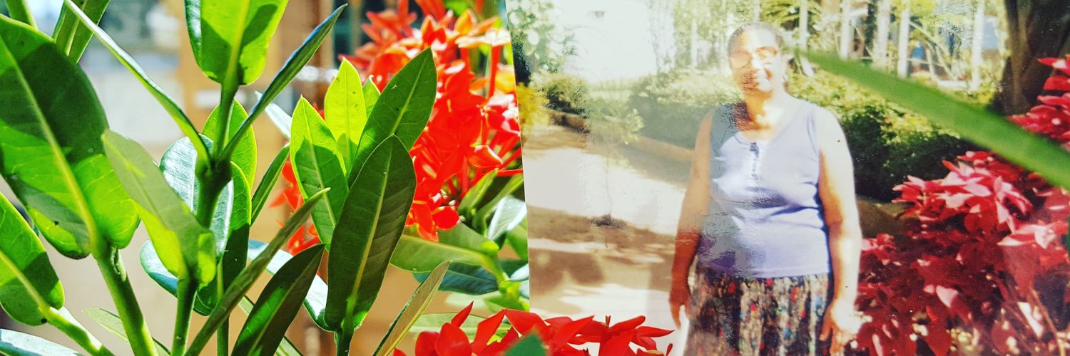 simplyvitor's profile banner image