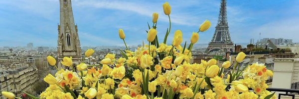 TopazBryant Profile Banner