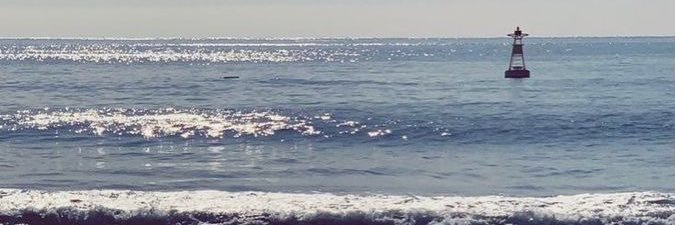 constpavo's profile banner image