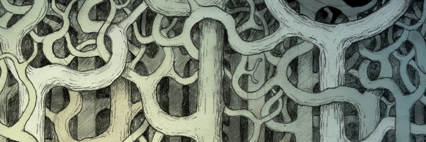 Jason 'Jake' Roberts banner