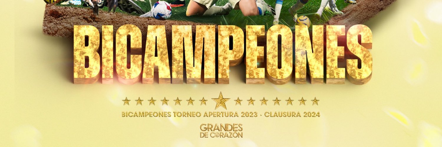 Alejandro Pulido banner