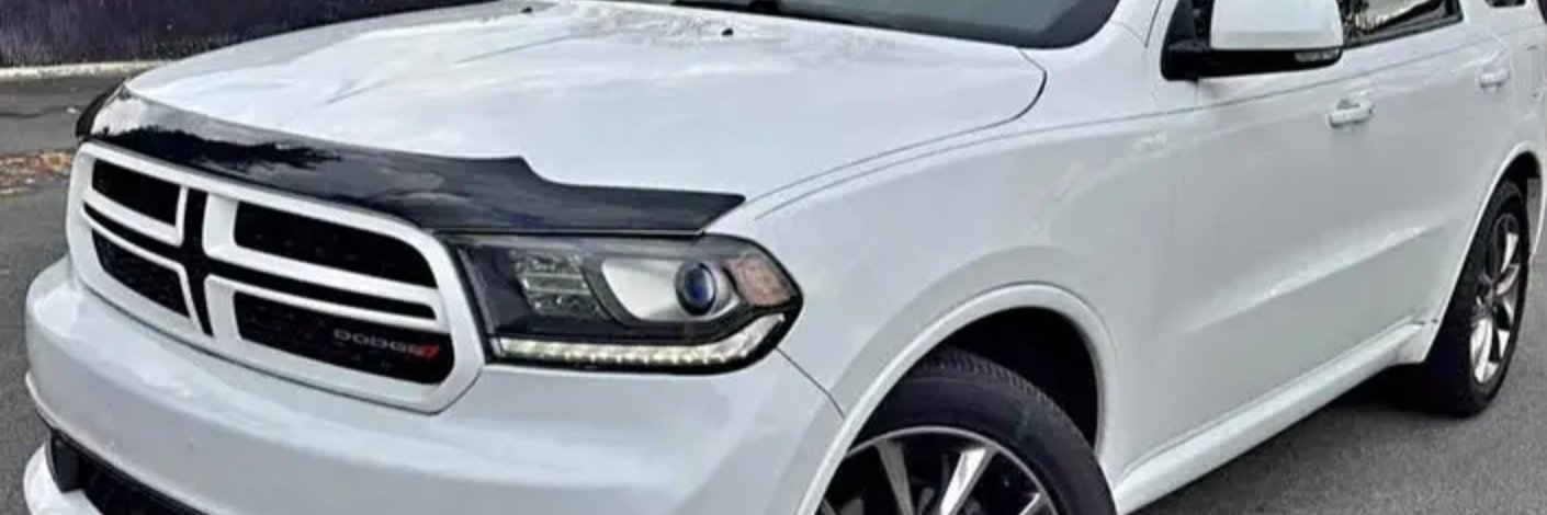 royr_ray's profile banner image