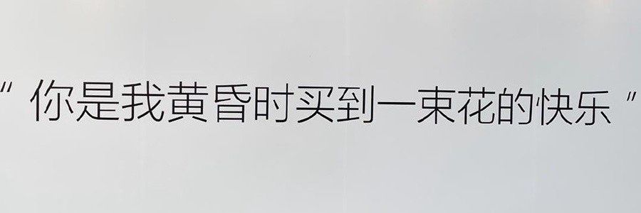 身难载雪 banner