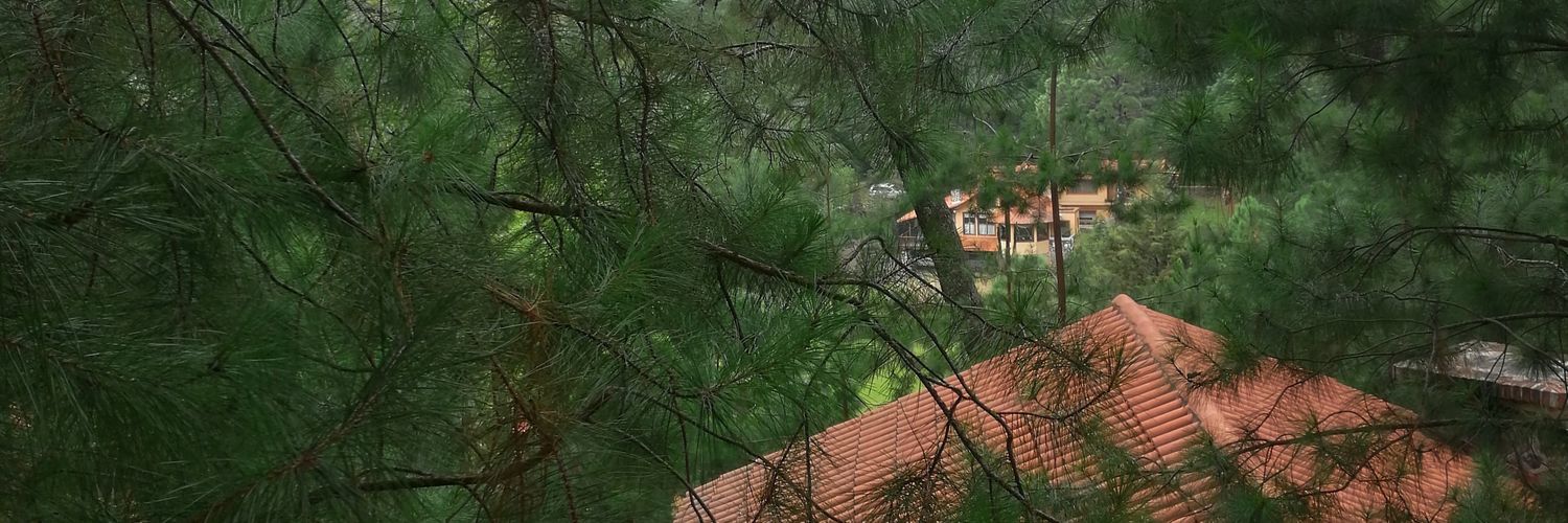 Keekskw's profile banner image