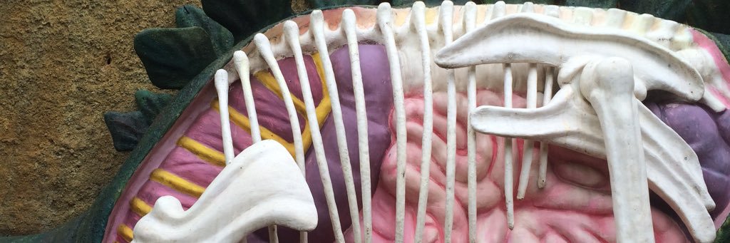 achildishh's profile banner image