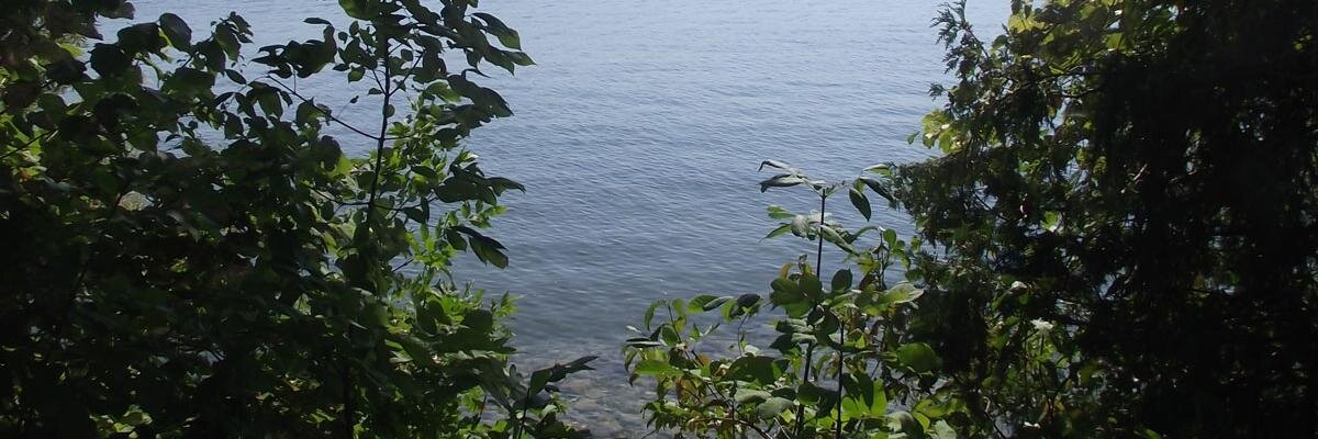 MindcampX's profile banner image