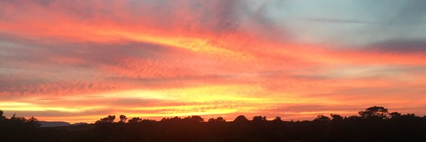 DenisLeamy Profile Banner