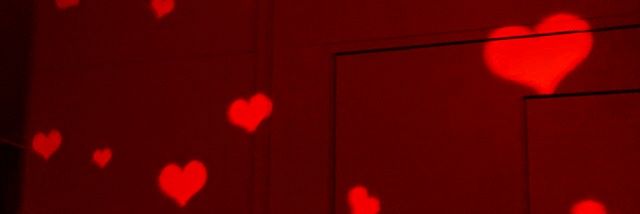 duldirectioner1's profile banner image
