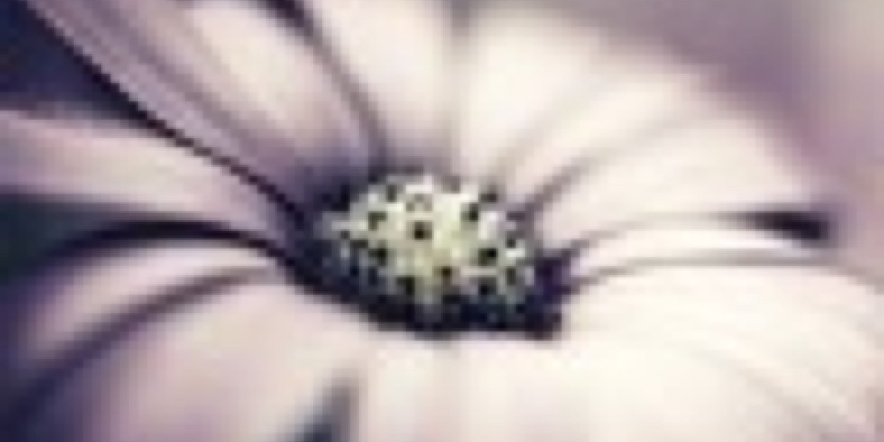 SHADN55's profile banner image