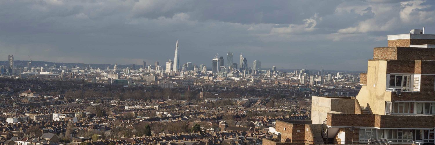 Torla Evans #PalestineWillBeFree banner