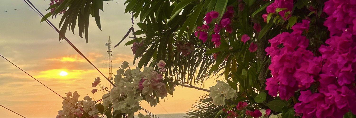 Niqa_Mor's profile banner image