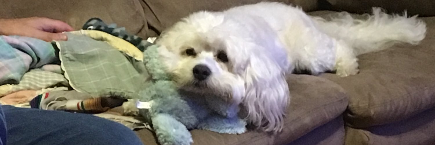 dbuckmore's profile banner image
