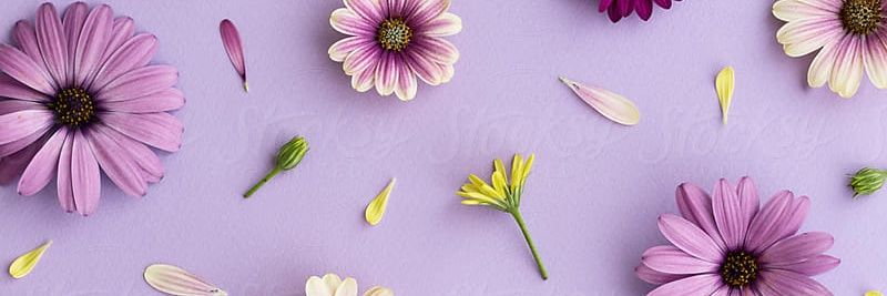 sviras's profile banner image