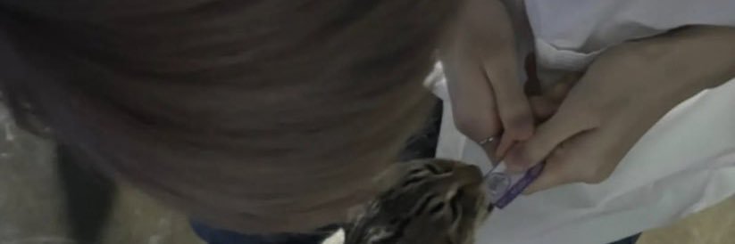 ❥พช— banner