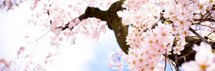 newmaniwan's profile banner image