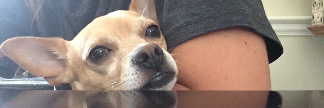 StephsTeam's profile banner image