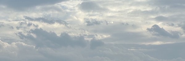 TOTOGABACK Profile Banner