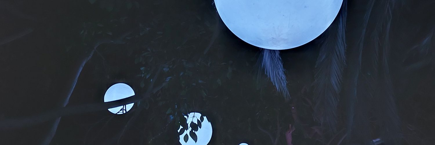 spirit7799's profile banner image