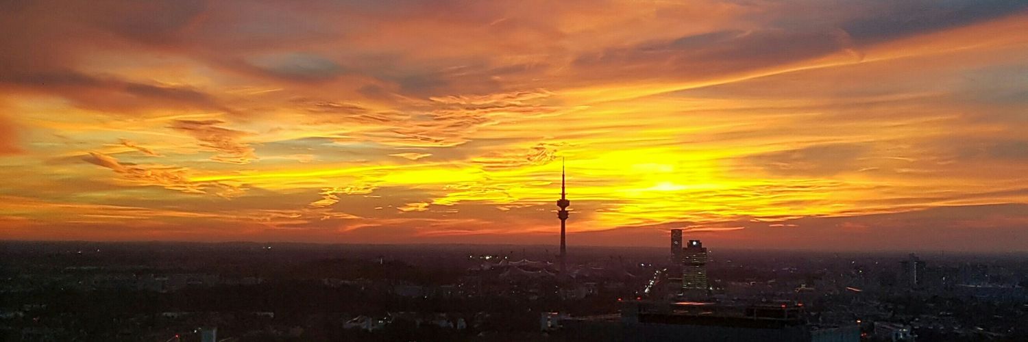 Alexander Koerner banner