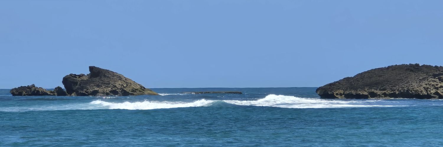 Domain Gang 🏅 banner