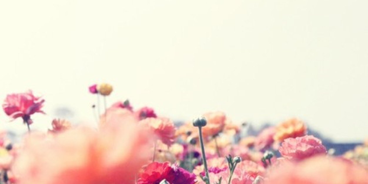 AnissaKatianda's profile banner image