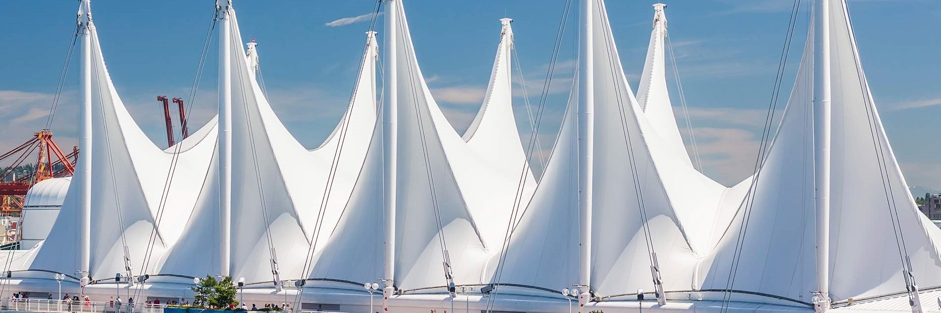 Lori Mathison banner