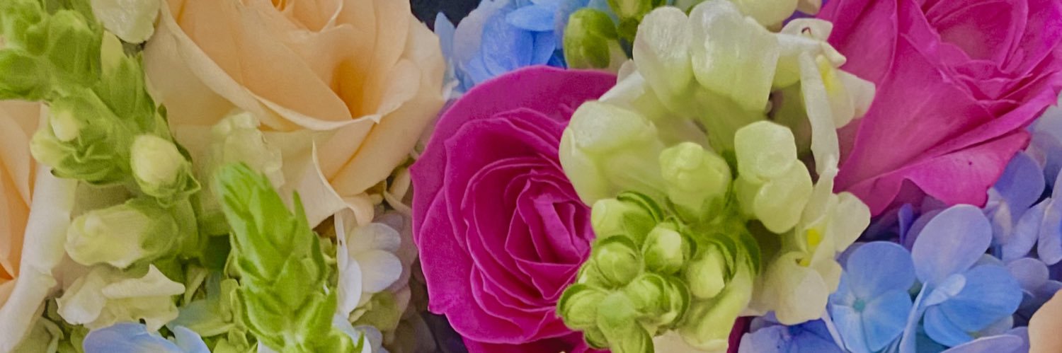 MelisaWu's profile banner image