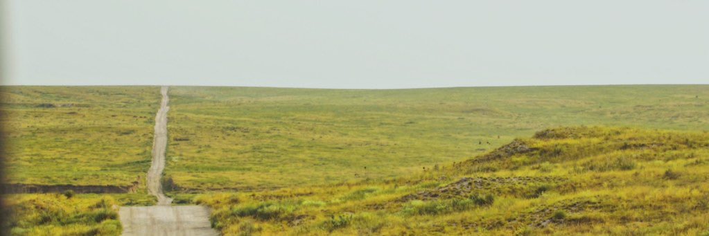 tchancelor's profile banner image
