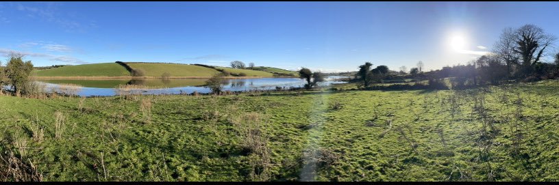 Dr Catherine Porter 🏳️‍🌈🌳😷 banner