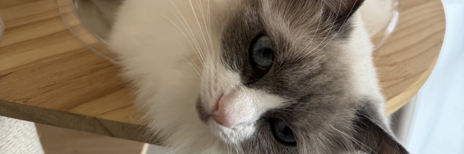 shooooowgo's profile banner image