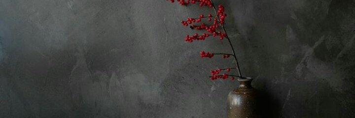 Ardishasoyyo's profile banner image