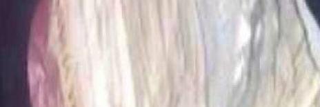 kidavelly's profile banner image