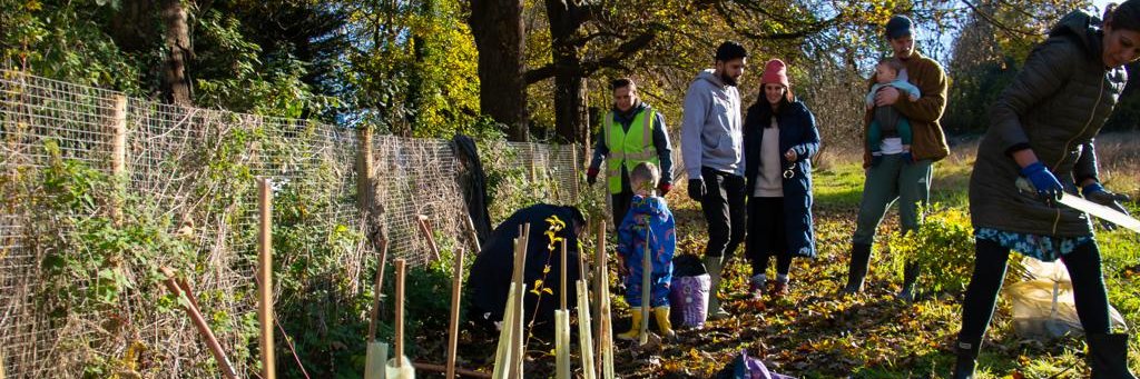 Roots for the Future CIC banner