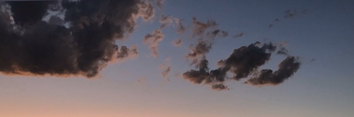Norma_Cristobal's profile banner image